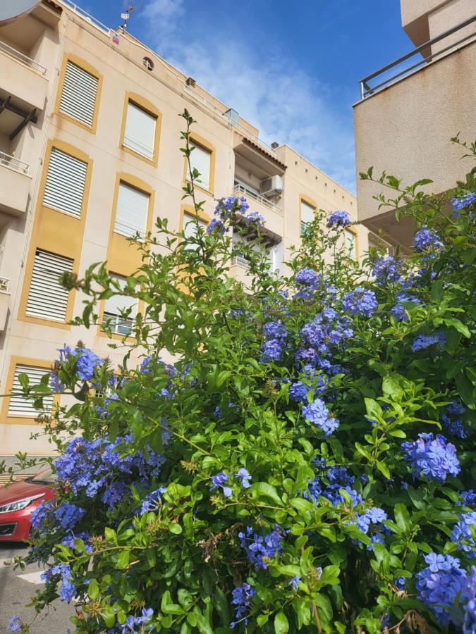 Apartamento La Urba ロケタス・デ・マル エクステリア 写真